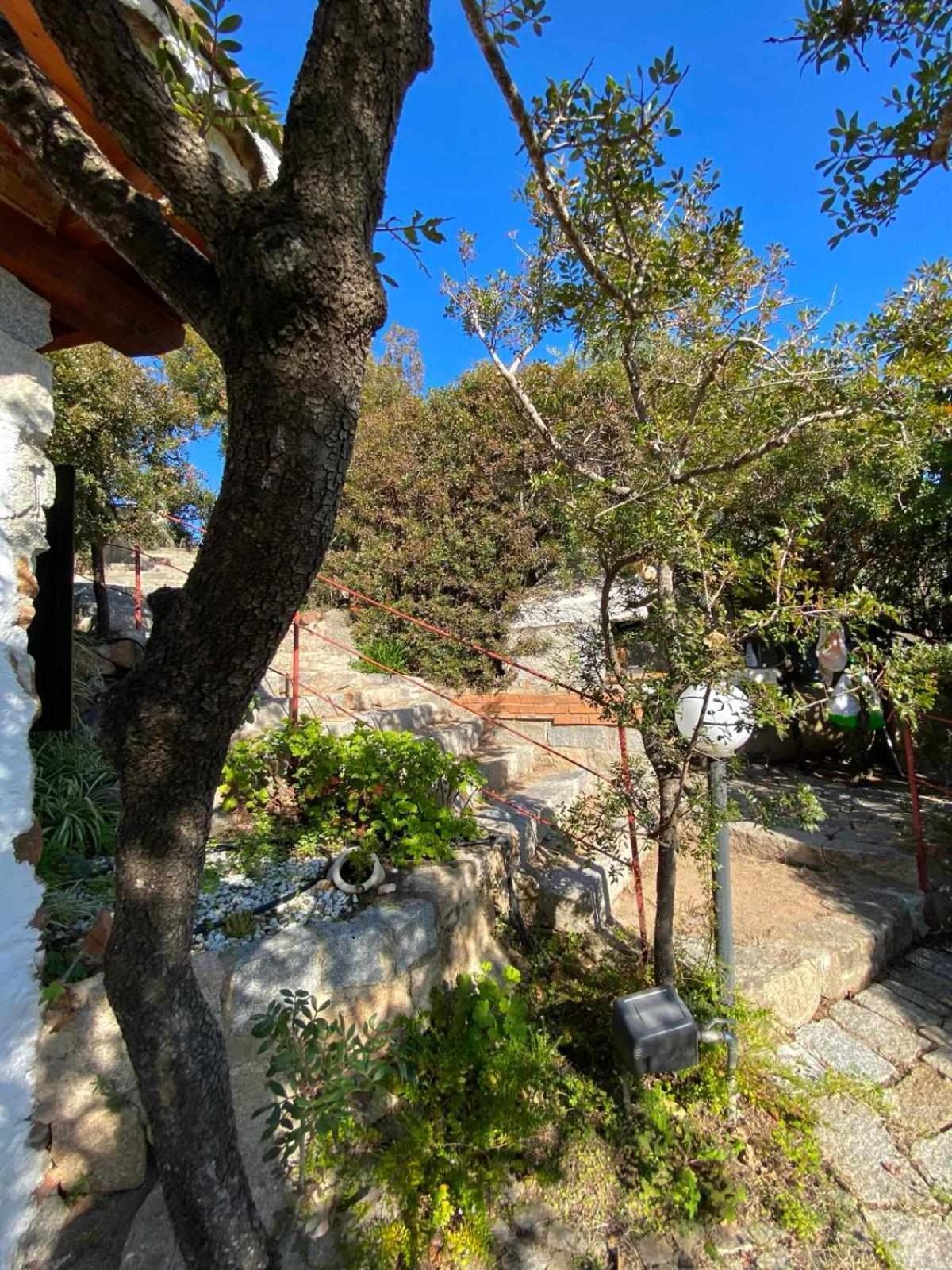 Sa Domu De Orri Al Mare Villa Tortolì Exteriör bild