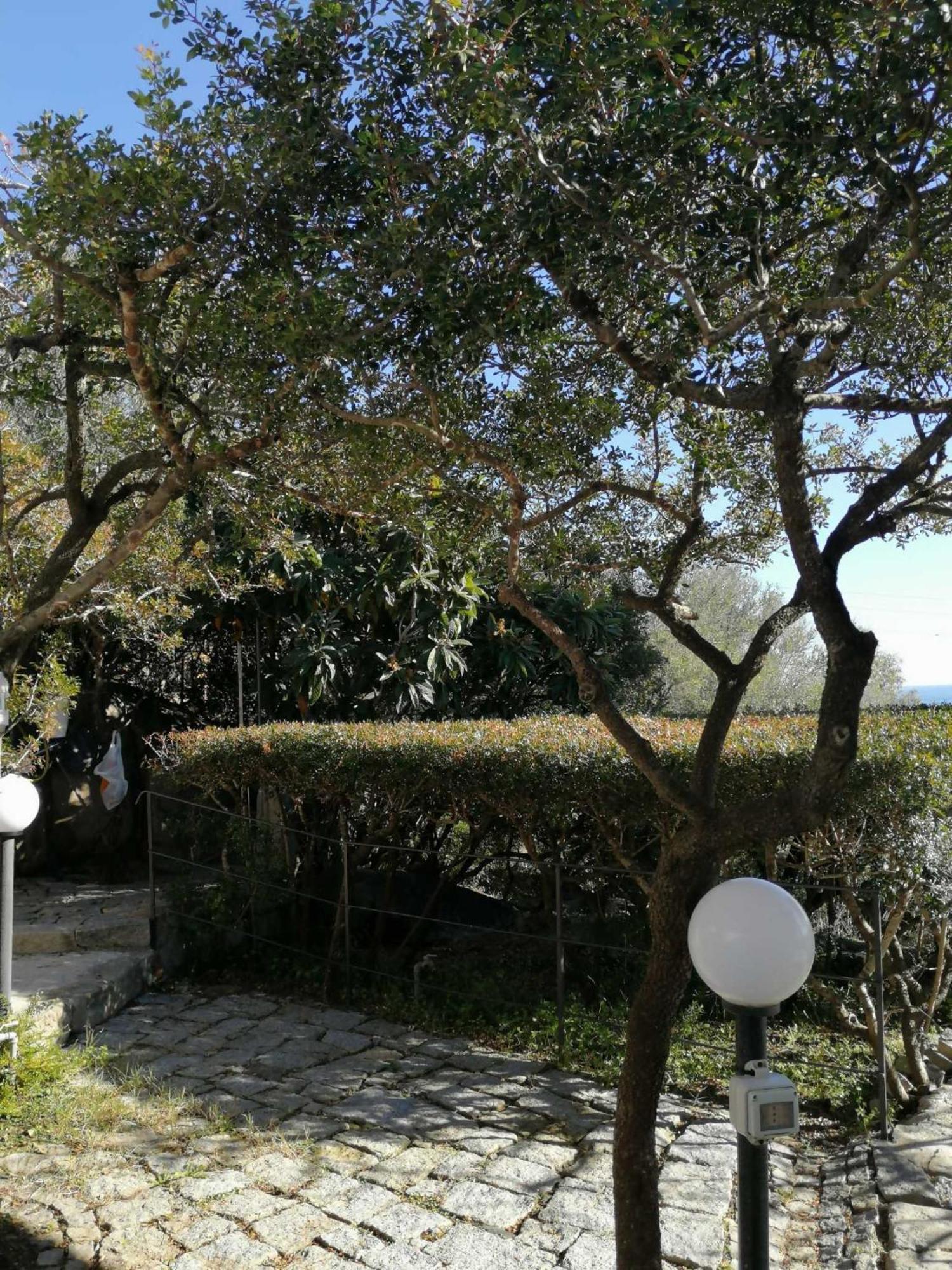 Sa Domu De Orri Al Mare Villa Tortolì Exteriör bild