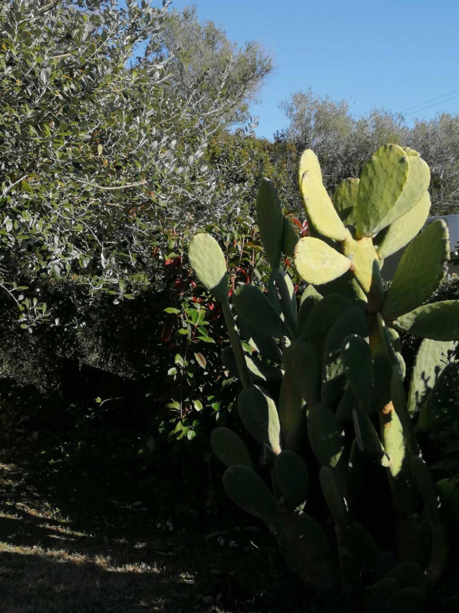 Sa Domu De Orri Al Mare Villa Tortolì Exteriör bild