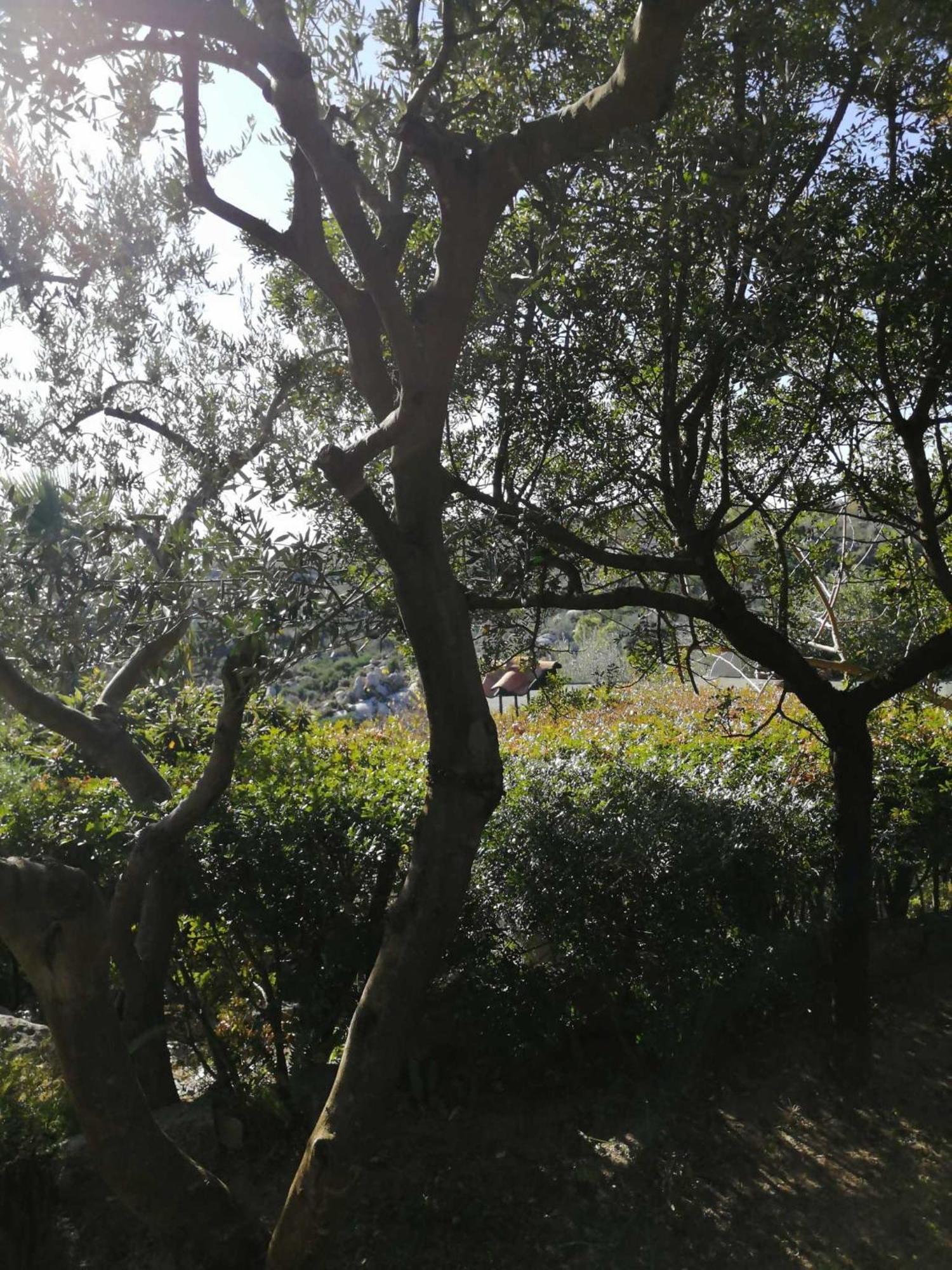 Sa Domu De Orri Al Mare Villa Tortolì Exteriör bild
